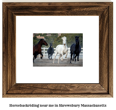 horseback riding near me in Shrewsbury, Massachusetts